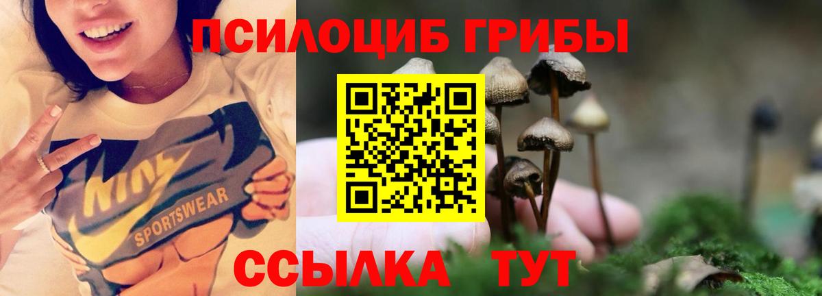 Галлюциногенные грибы мухоморы Крымск