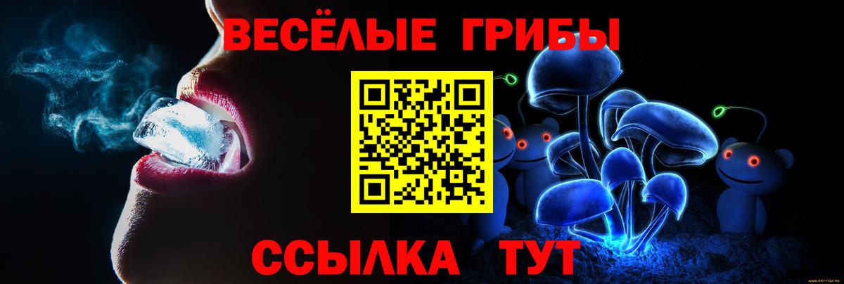 Крымск  Псилоцибиновые грибы Psilocybine cubensis  Вход с VPN 